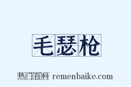 毛瑟枪是什么意思的图片